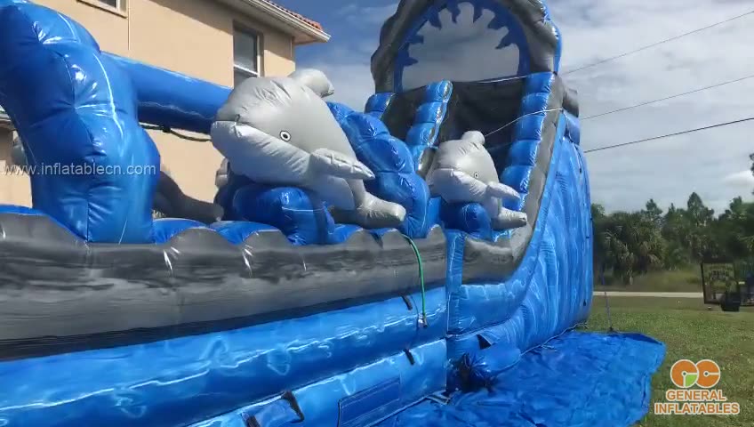 Customer video
